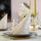 Šerpa na stůl krémová se vzorem Dunicel® 3 v 1 0,4 x 4,8 m Charm Cream