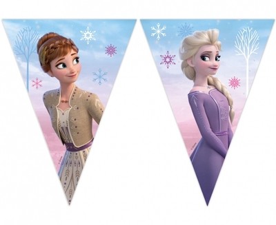 Frozen papírové vlajky 2,3 m 9 ks