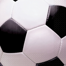 Fotbal ubrousky 16ks